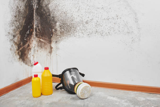 Home Mold Removal in Fellsburg, PA